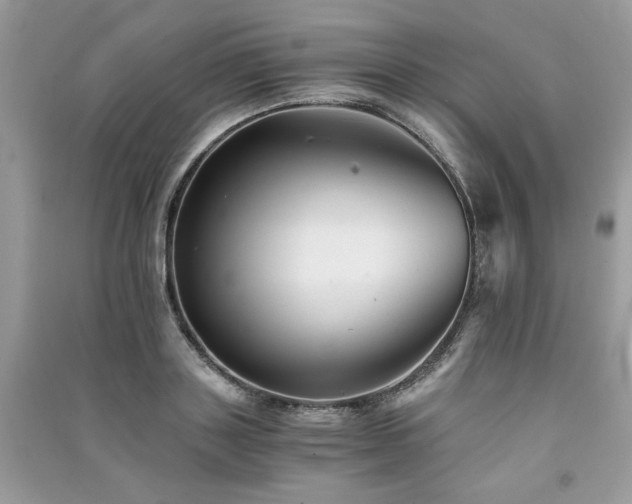 X0000091300843200708101306