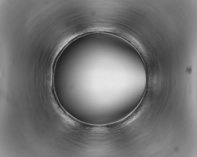 X0000091300844200708101306