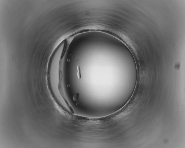 X0000091300845200708101306