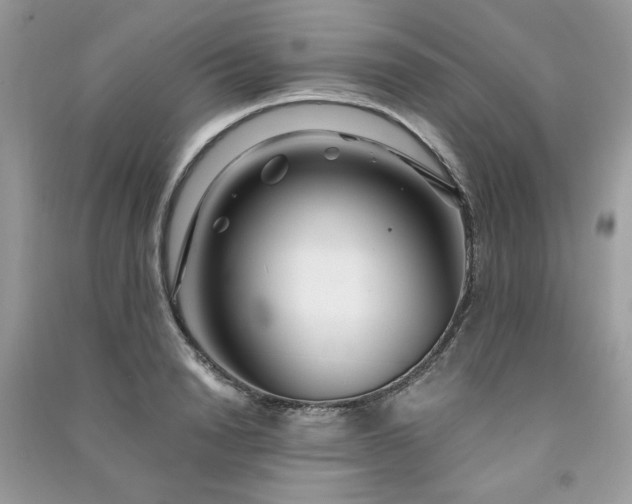 X0000091300846200708101306