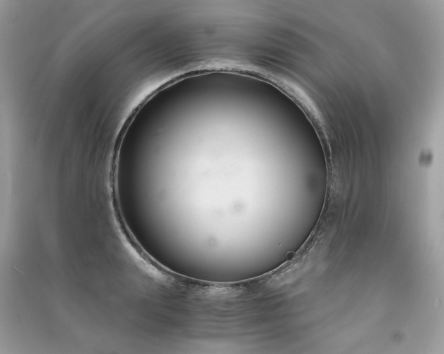 X0000091300847200708101306