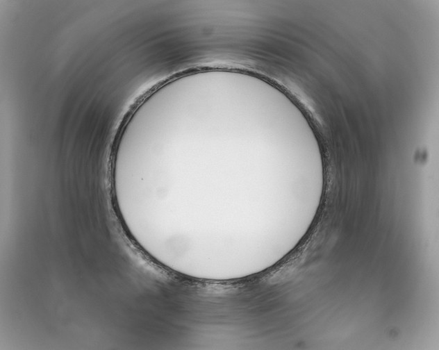 X0000091300848200708101306
