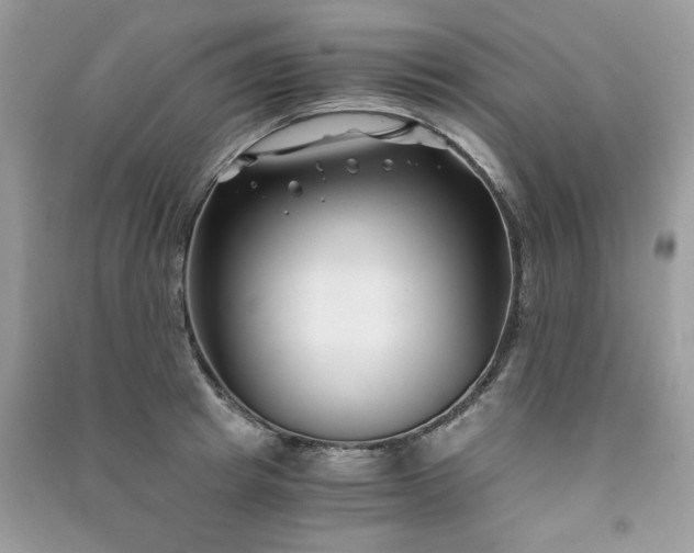X0000091300849200708101306