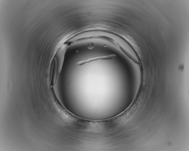 X0000091300850200708101306