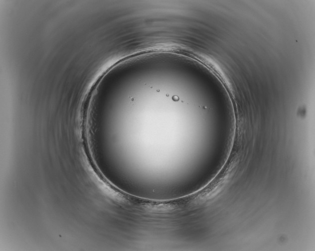 X0000091300851200708101306