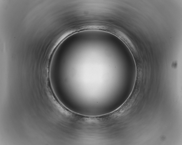 X0000091300852200708101306