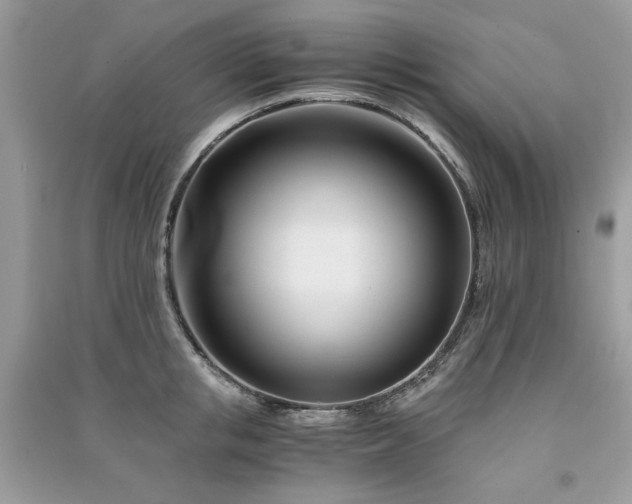 X0000091300853200708101306