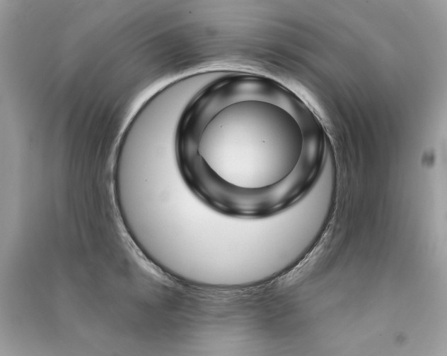 X0000091300854200708101306