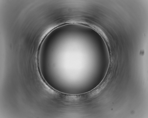 X0000091300855200708101306