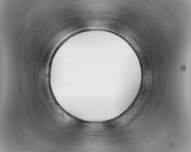X0000091300856200708101306