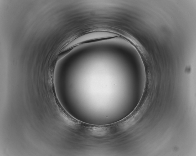 X0000091300857200708101306
