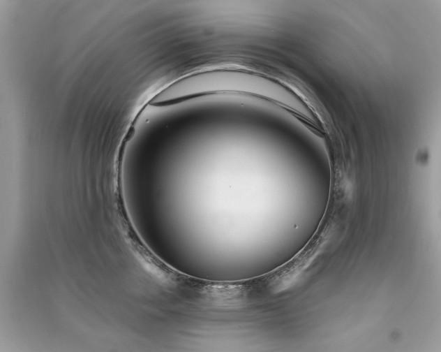 X0000091300858200708101306