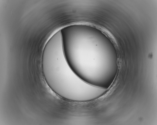 X0000091300860200708101306