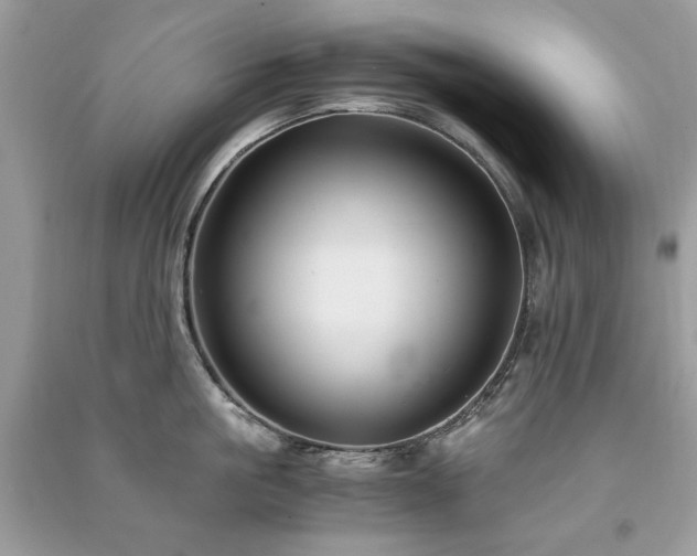 X0000091300861200708101306