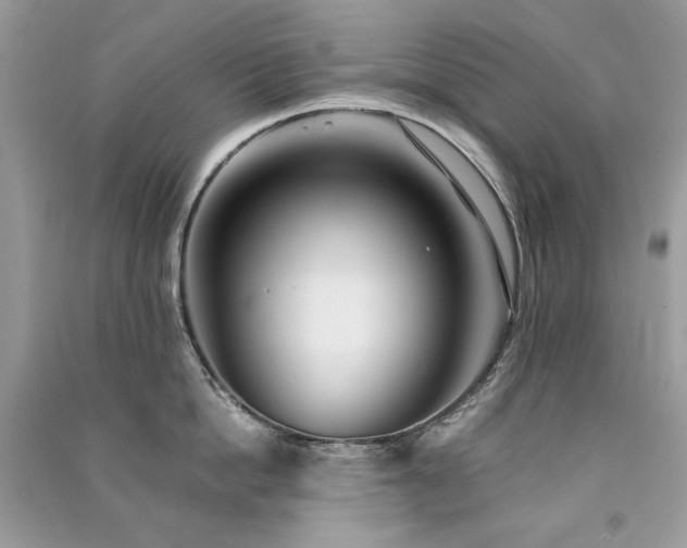 X0000091300862200708101306