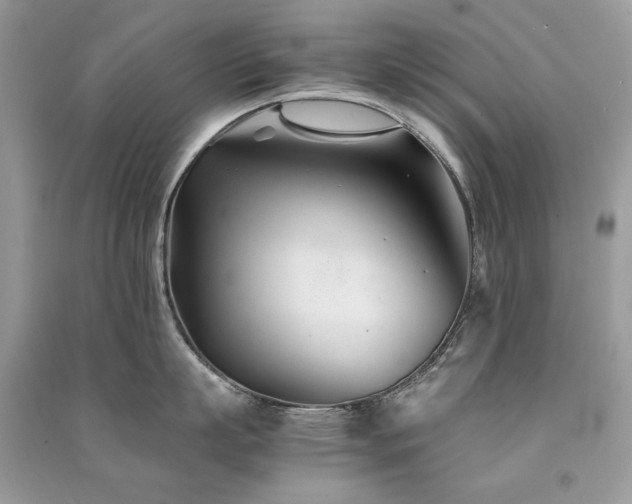 X0000091300863200708101306