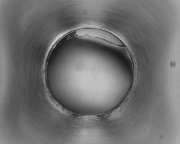 X0000091300864200708101306