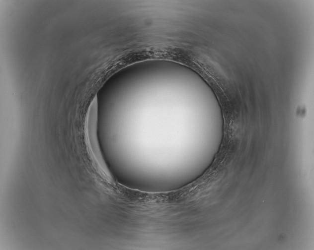 X0000091300865200708101306