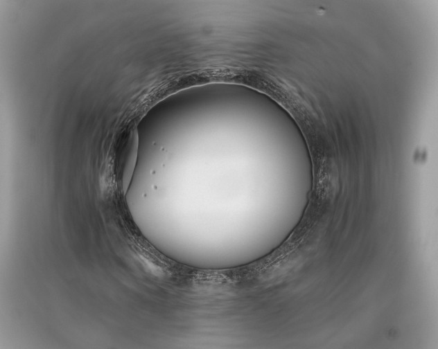X0000091300866200708101306
