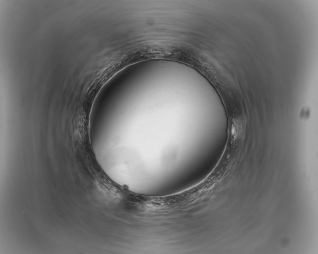 X0000091300867200708101306