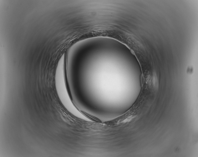X0000091300868200708101305