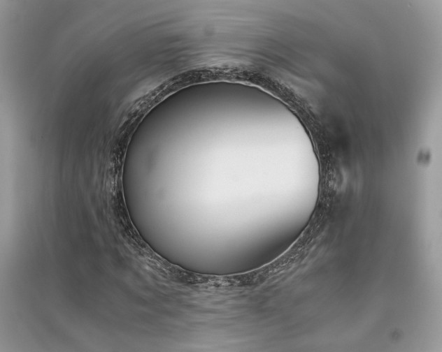 X0000091300869200708101305