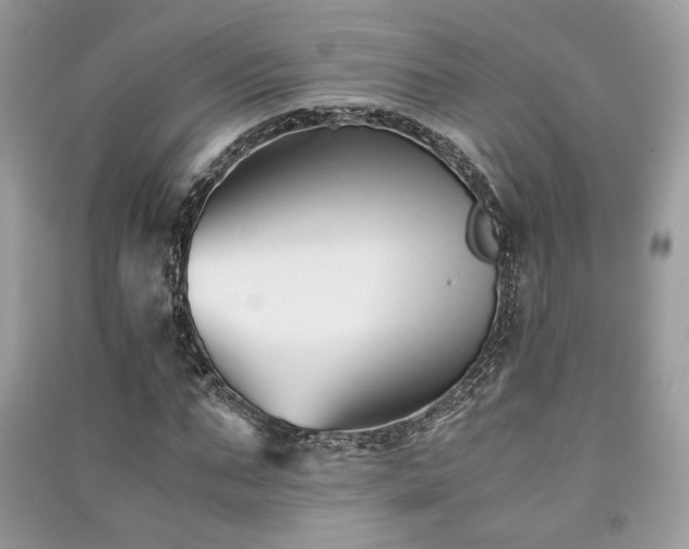 X0000091300871200708101305