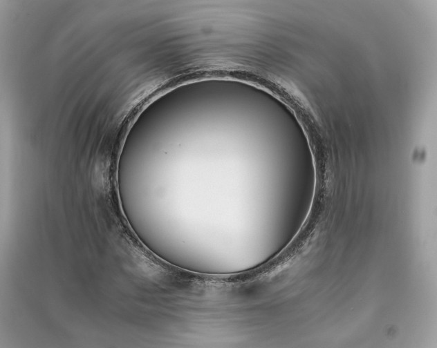 X0000091300873200708101305