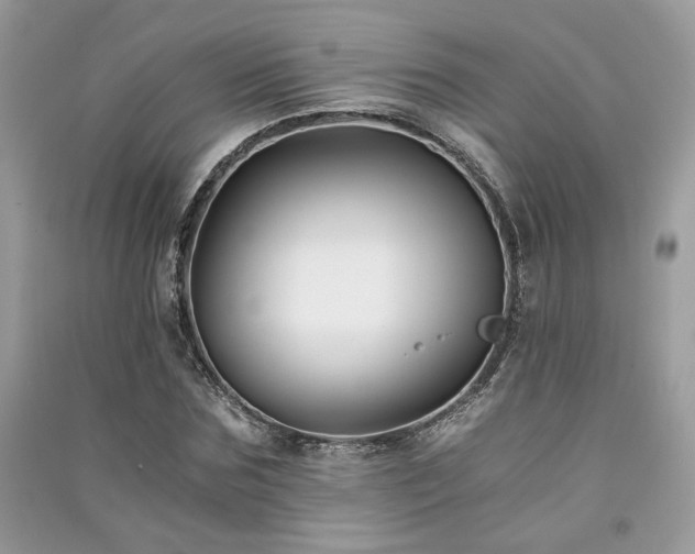 X0000091300875200708101305