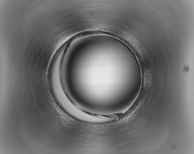 X0000091300876200708101305