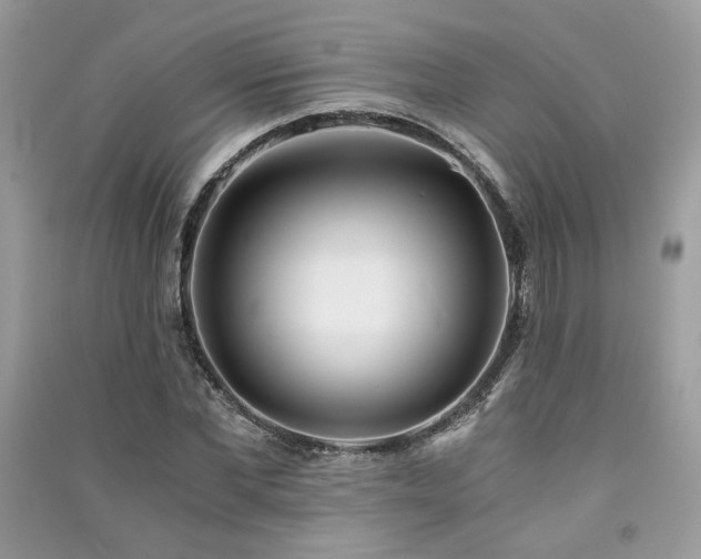 X0000091300877200708101305