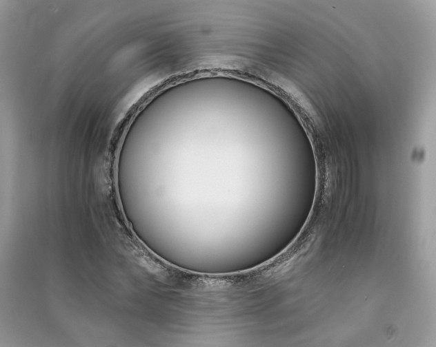 X0000091300878200708101305