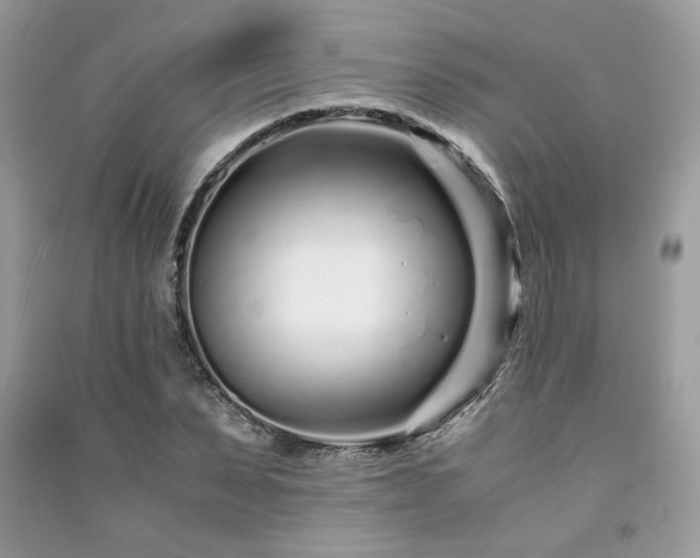 X0000091300879200708101305