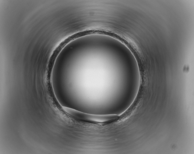 X0000091300880200708101305