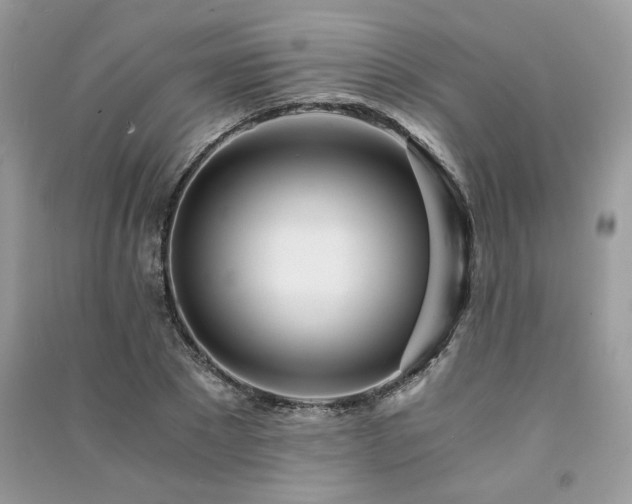 X0000091300881200708101305