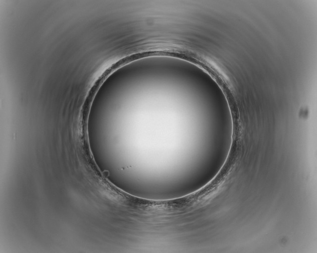 X0000091300883200708101305