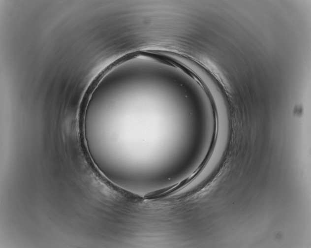 X0000091300884200708101305
