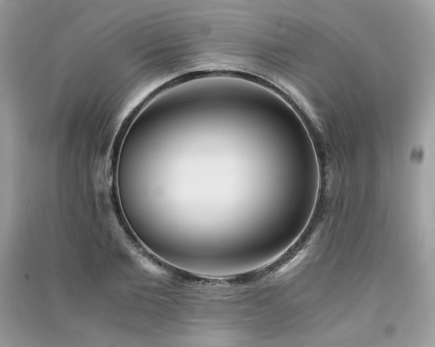 X0000091300885200708101305