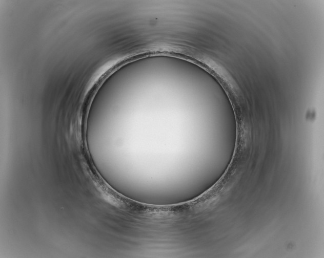 X0000091300886200708101305