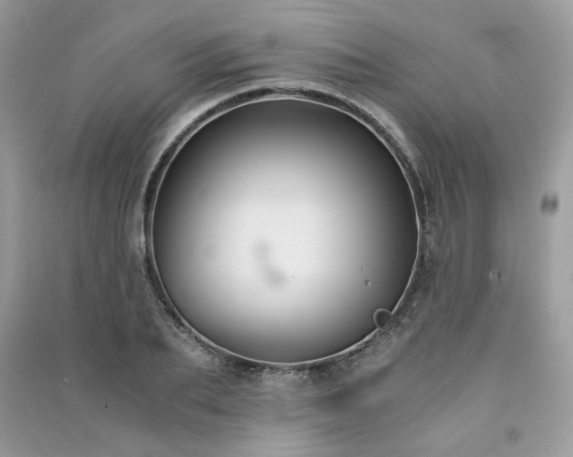 X0000091300887200708101305