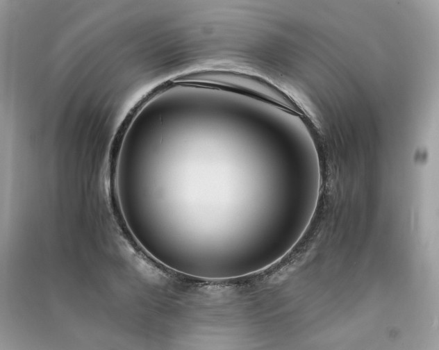 X0000091300888200708101305