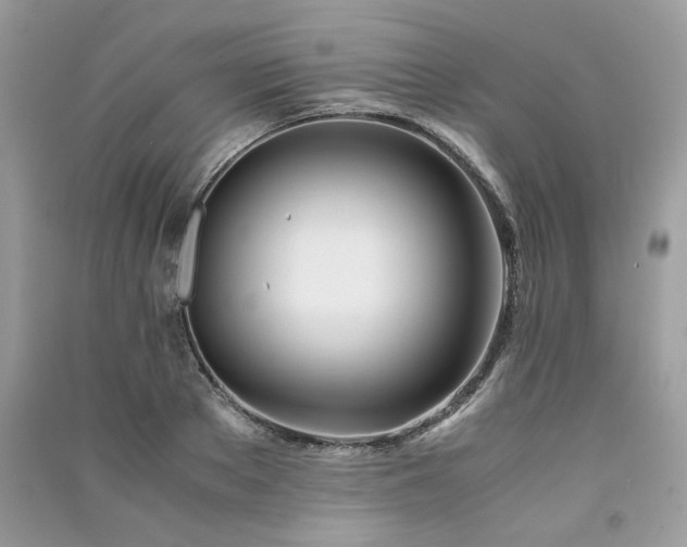 X0000091300889200708101305