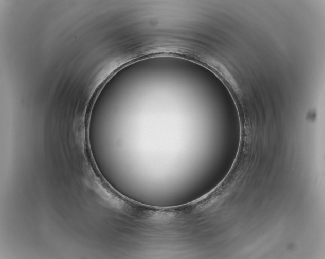 X0000091300890200708101305