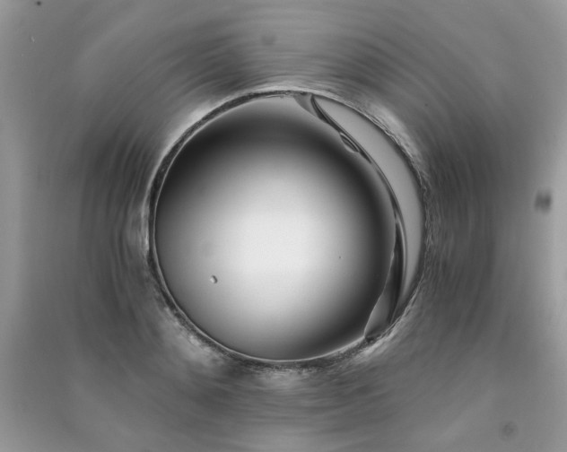 X0000091300892200708101305