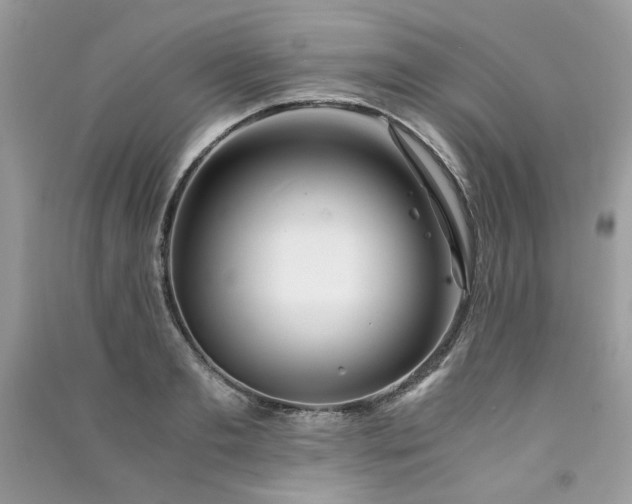 X0000091300893200708101305