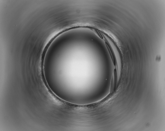 X0000091300894200708101305