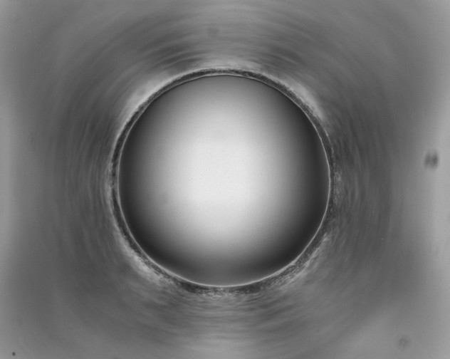X0000091300895200708101305