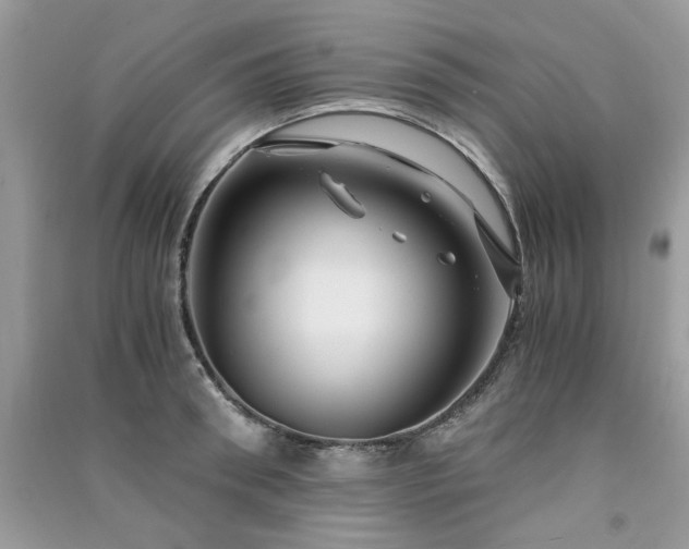 X0000091300898200708101305