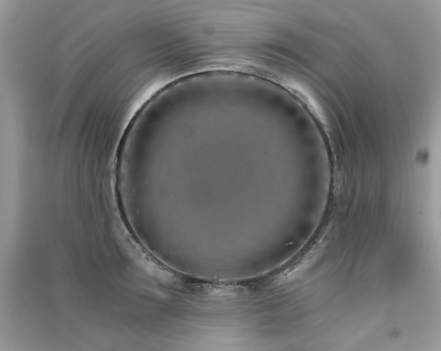 X0000091300899200708101305