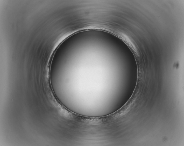 X0000091300900200708101305